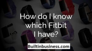 Fitbit Model